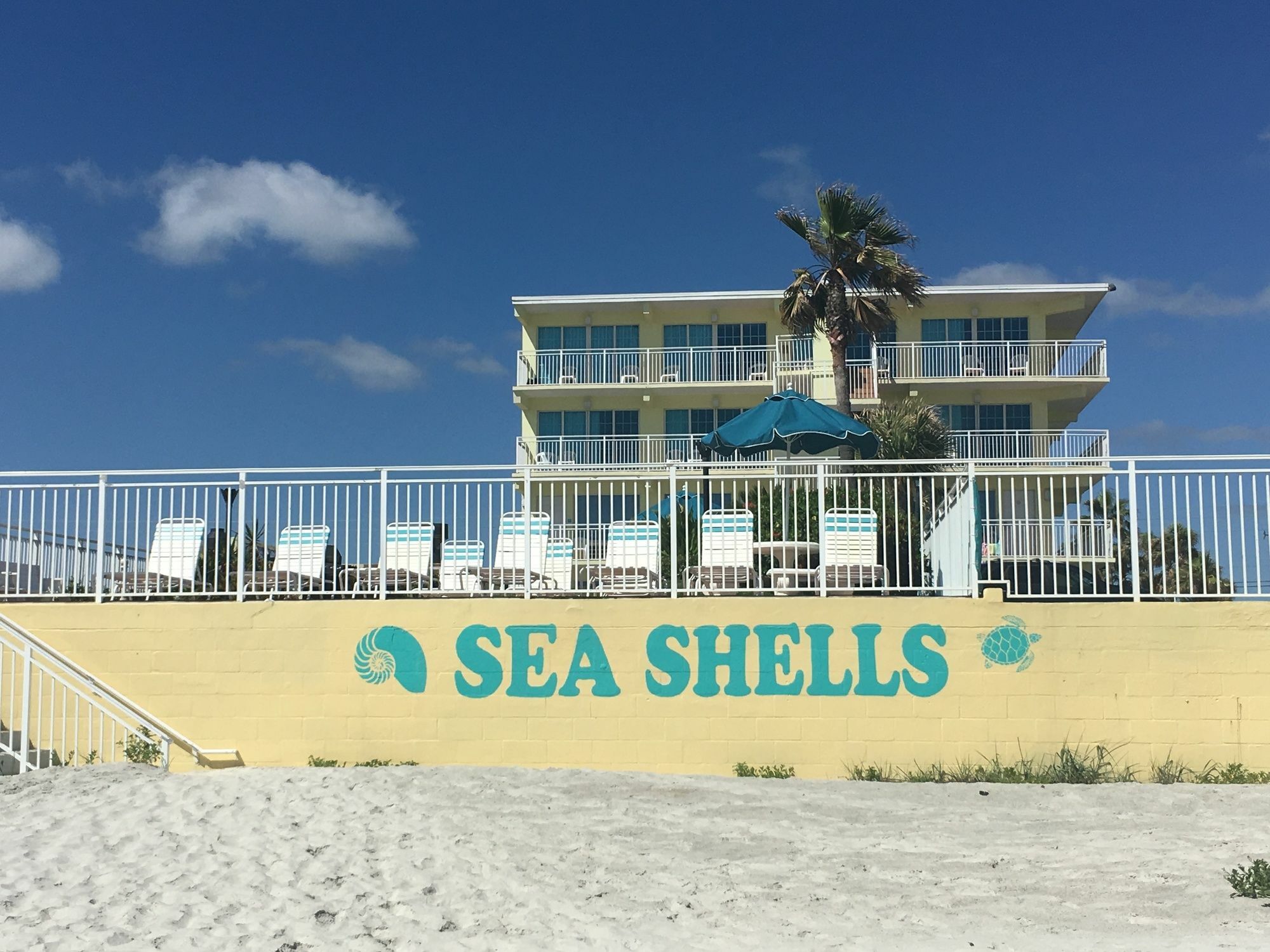 Sea Shells Beach Club Daytona Beach Kültér fotó